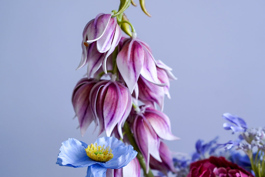 Hill House Signature Color