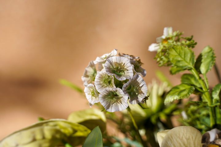 The Endless Summer Green