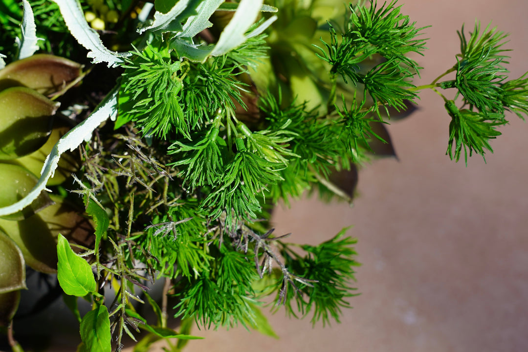 The Spring Time in Japan