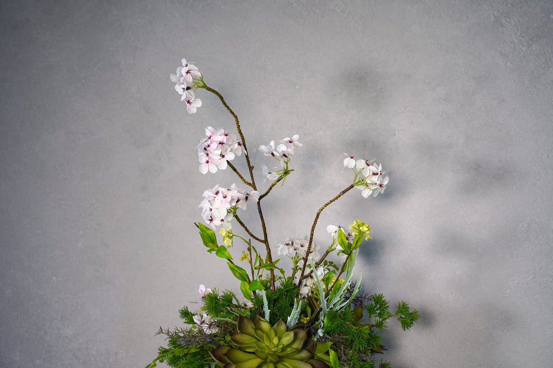 The Spring Time in Japan