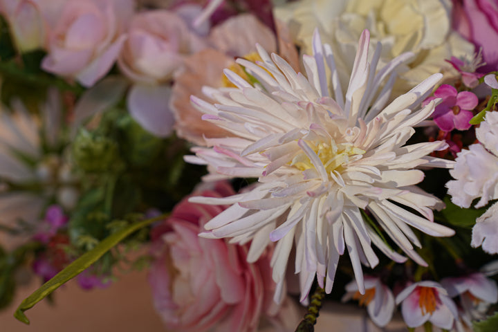 The Garden in Spring