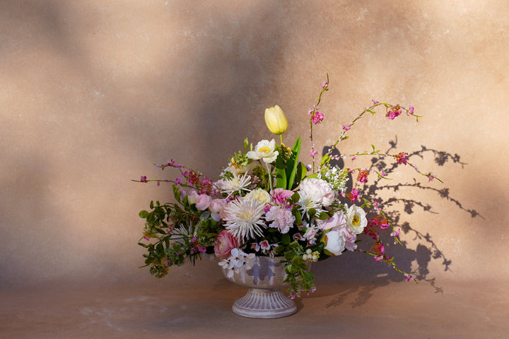 The Garden in Spring