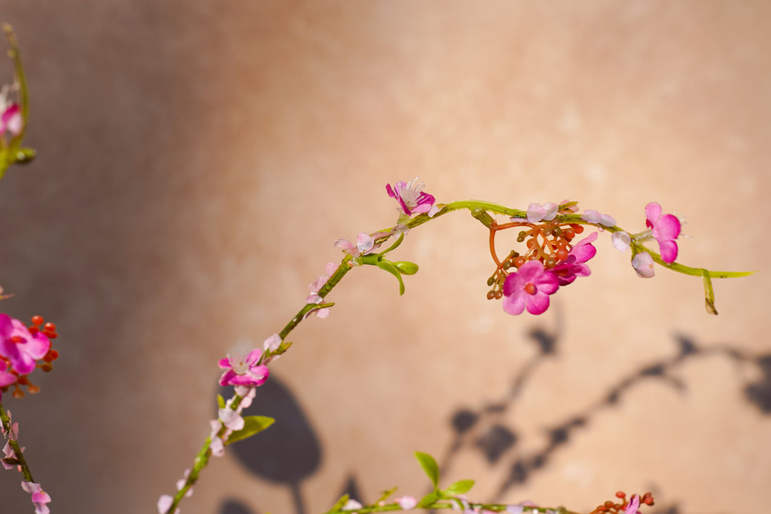 The Garden in Spring