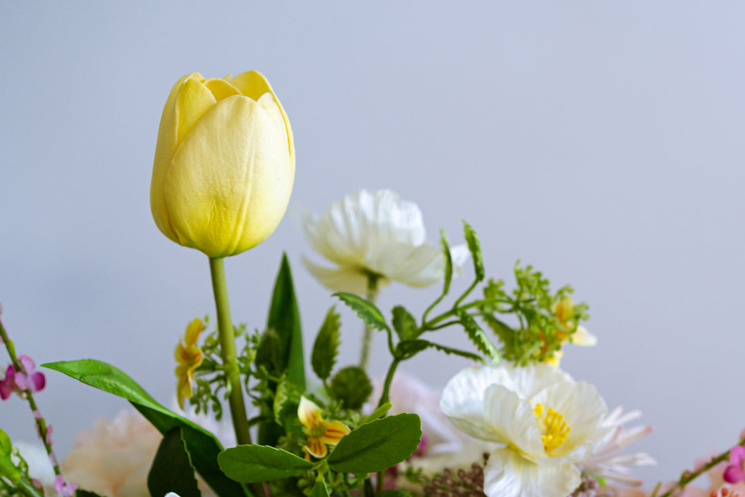 The Garden in Spring