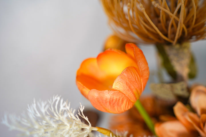 The Whisper of the Desert