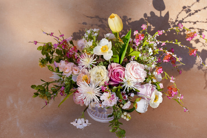 The Garden in Spring