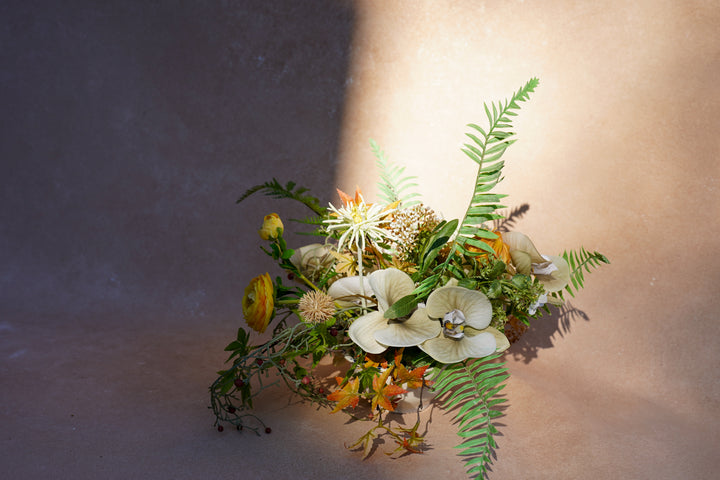 Meadowlight Reception