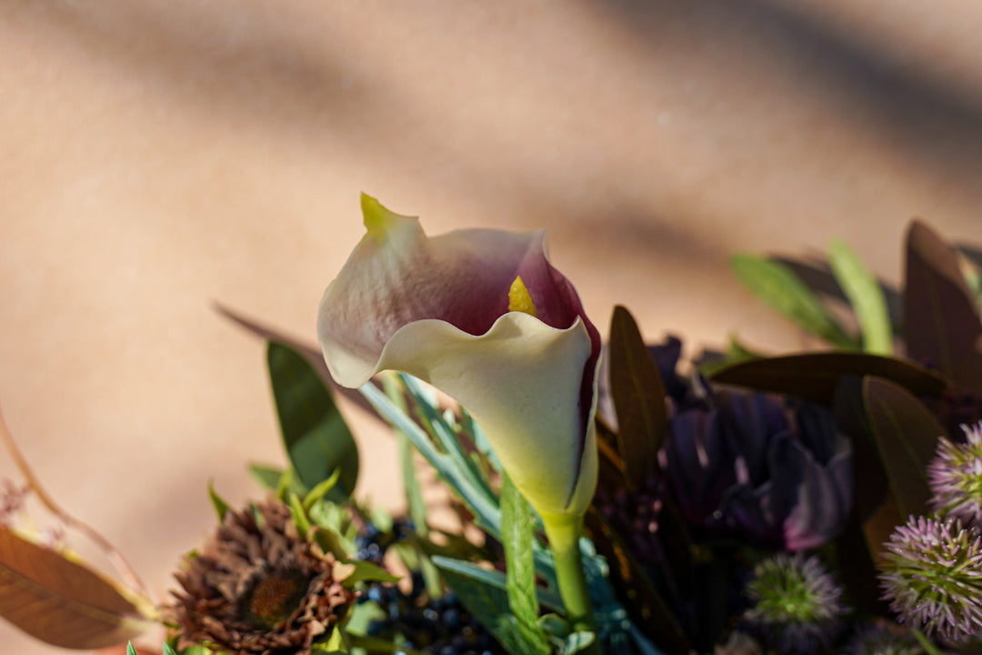 The Winter Garden Fun