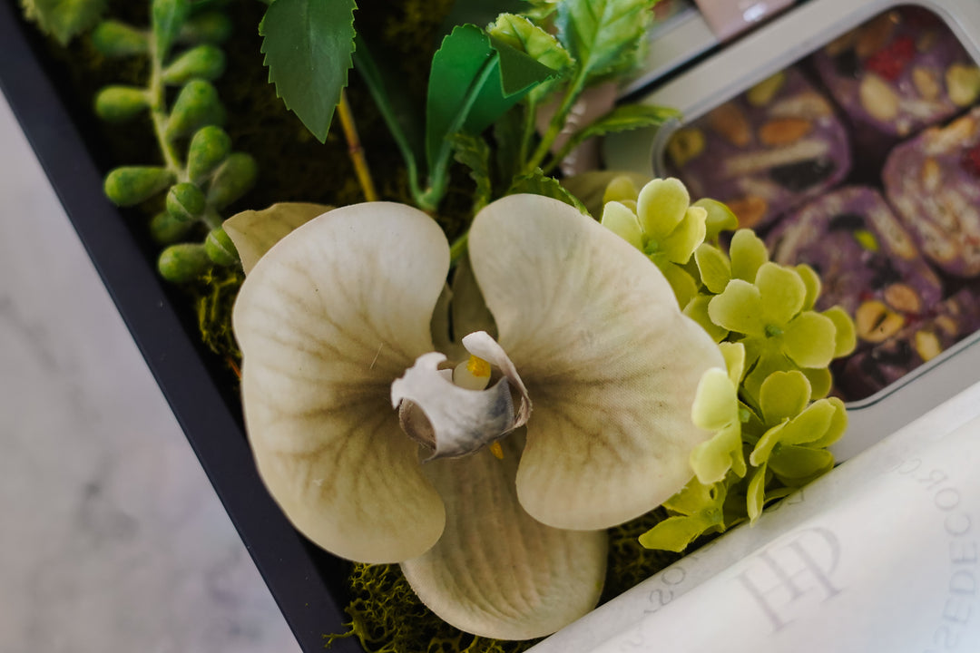 Evergreen Nougat Box