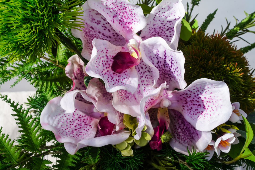 A walk to Japanese garden