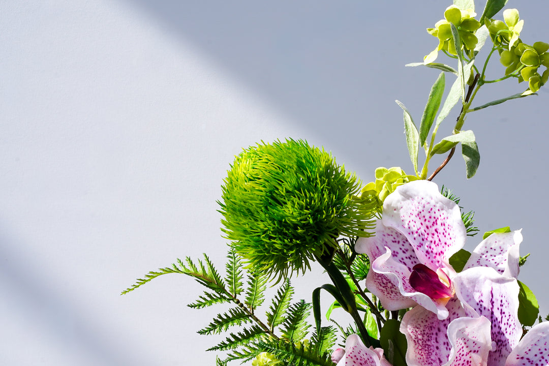 A walk to Japanese garden