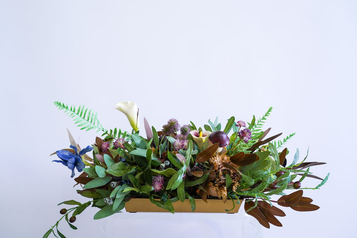 The Winter Garden Fun