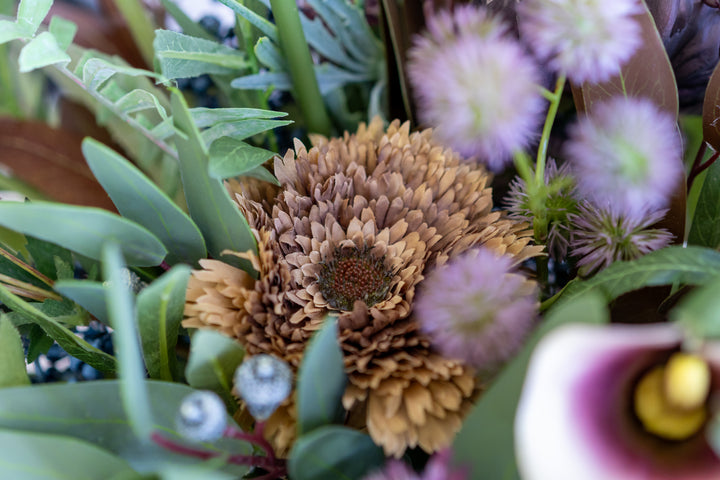 The Winter Garden Fun