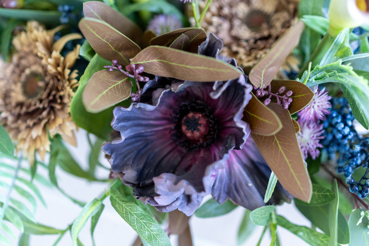 The Winter Garden Fun