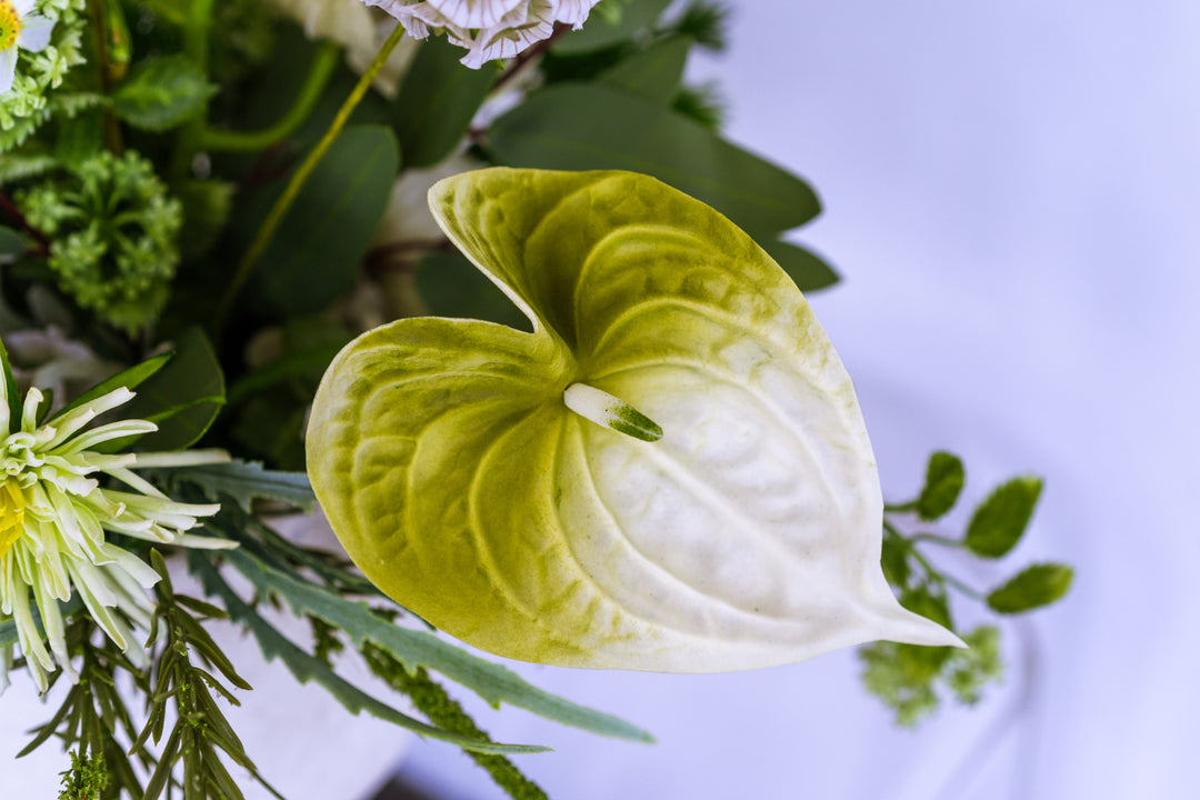 The Endless Summer Green