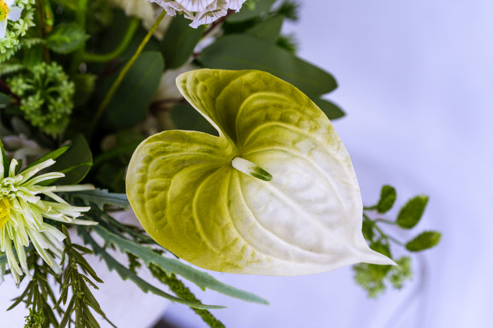 The Endless Summer Green