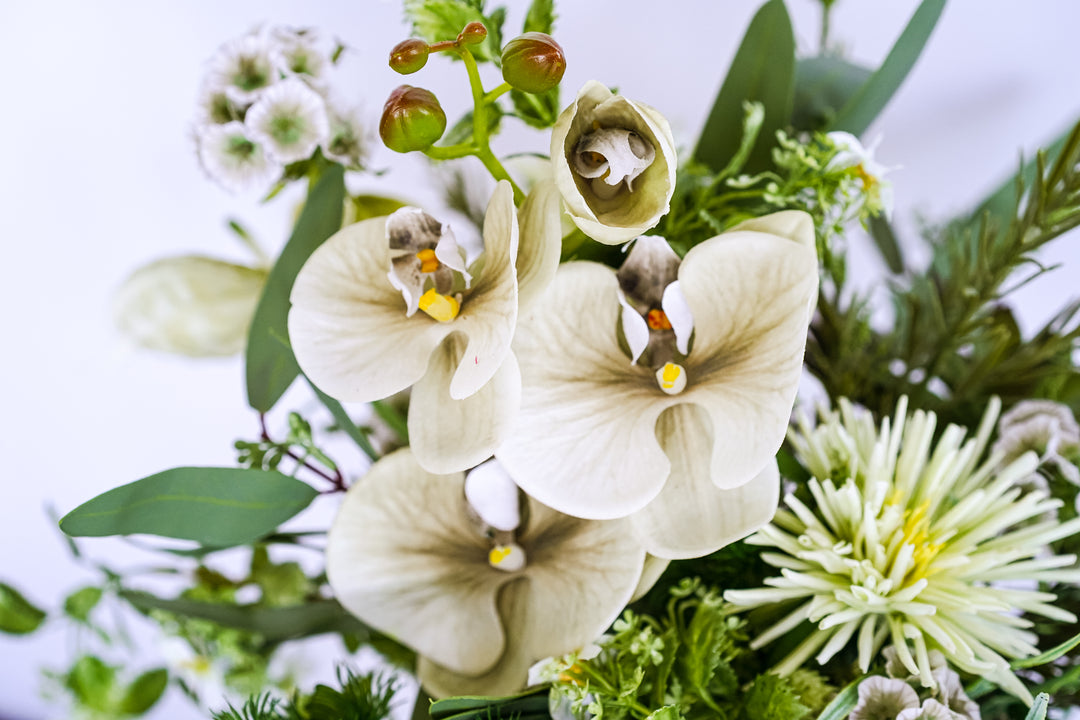 The Endless Summer Green