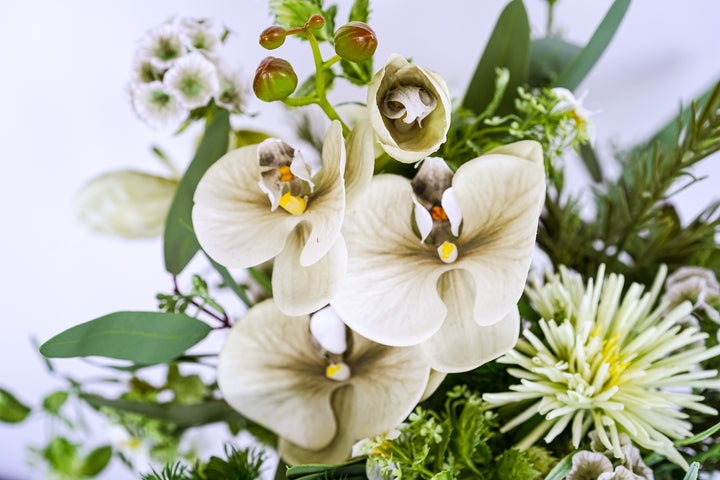 The Endless Summer Green