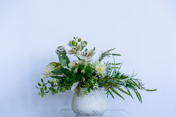 The Endless Summer Green