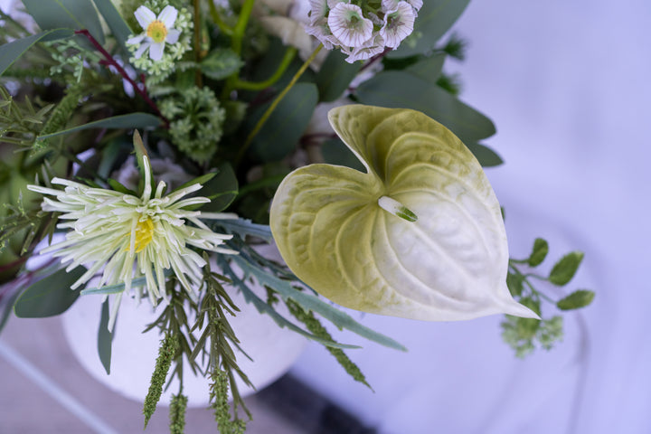 The Endless Summer Green