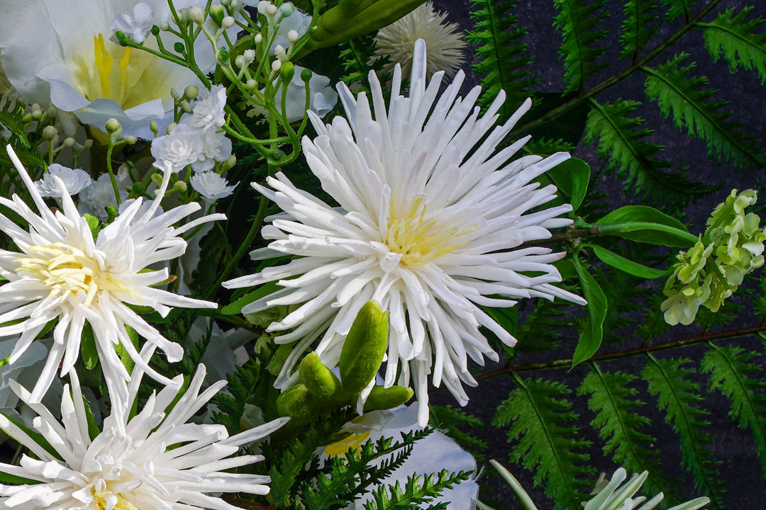 The Purest of the Sunlight