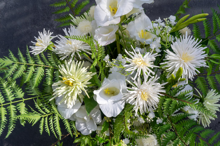 The Purest of the Sunlight