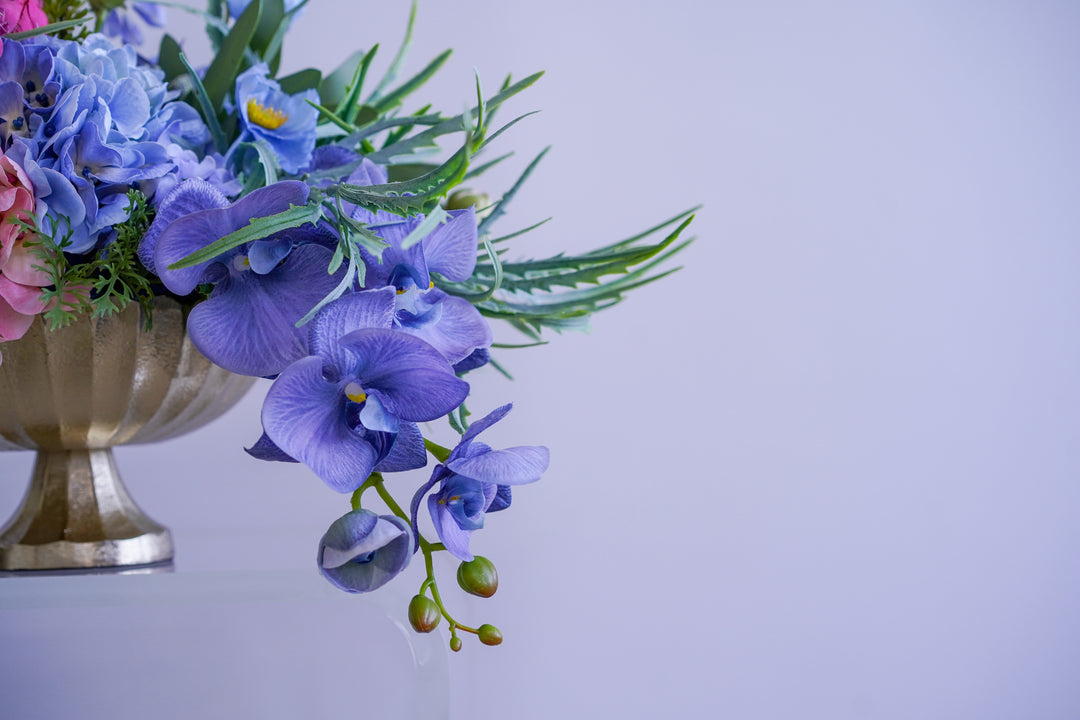 Hill House Signature Color