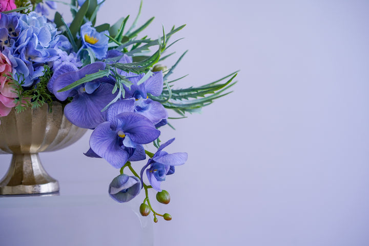 Hill House Signature Color