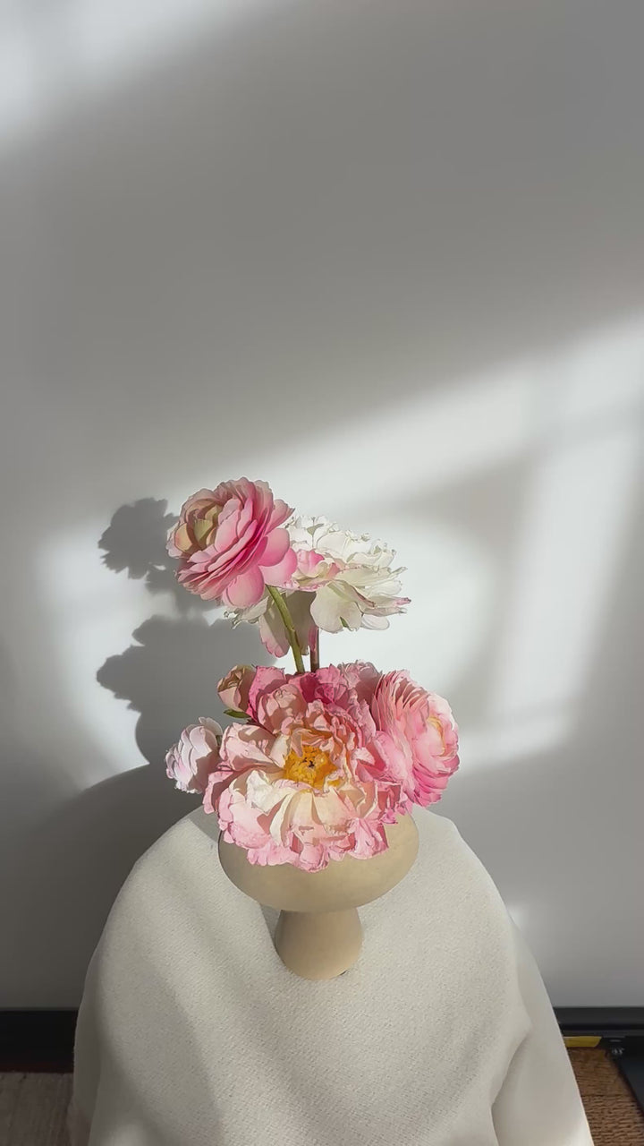 Peony in  pink