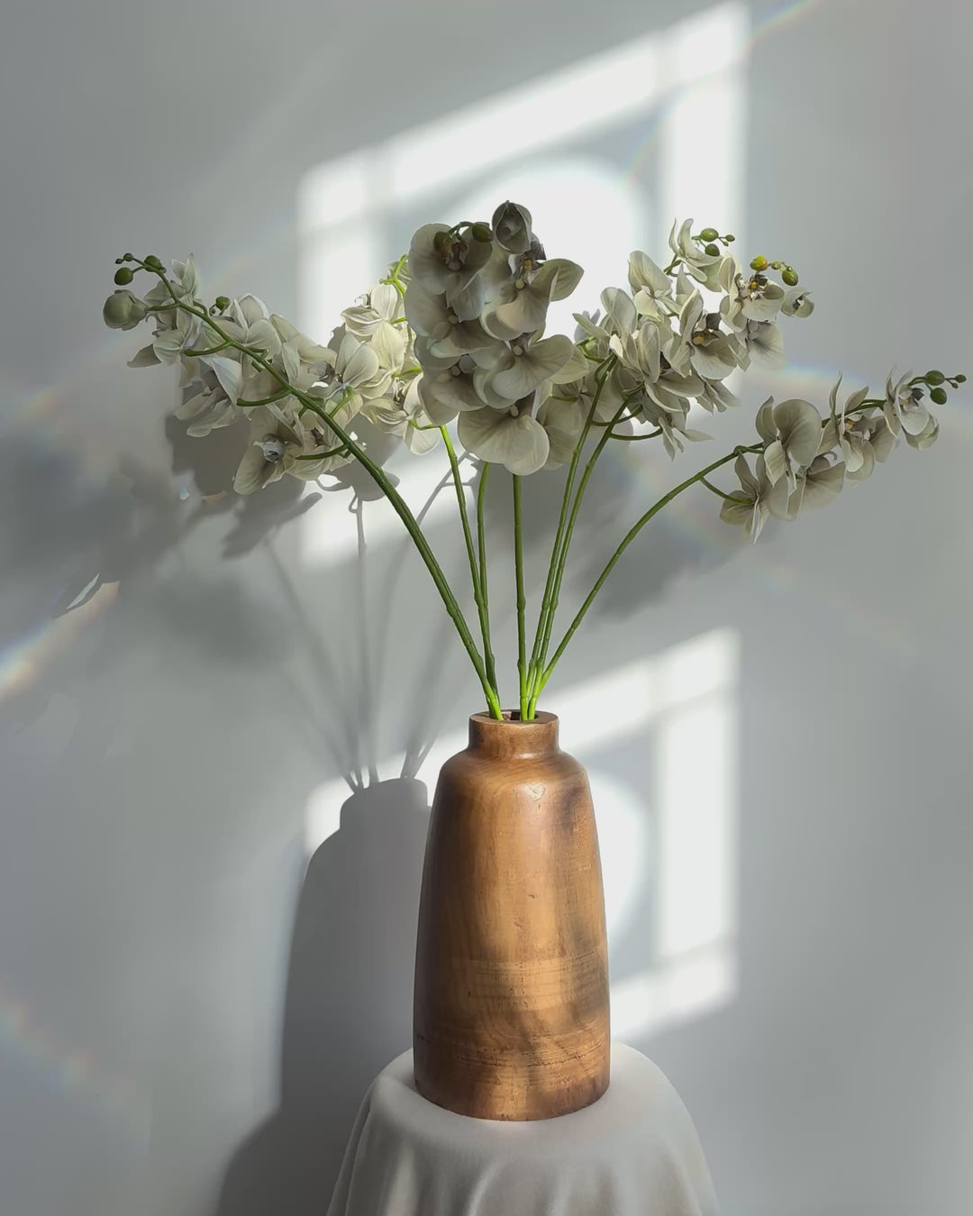 Green orchid in wood vase