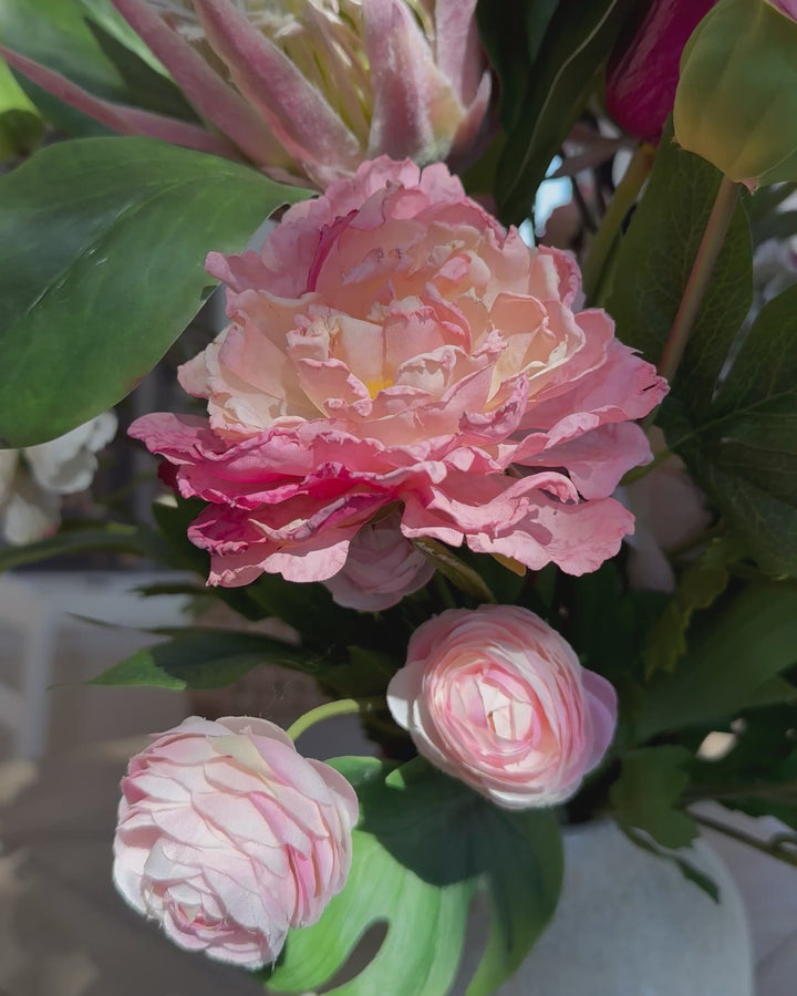 Peony in  pink